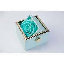 HaZiPan Preserved Rose Gift Set, Valentine's Day Mother's Day Christmas Birthday Anniversary Proposal Engagement Romantic Gift Surprise Wife Husband and Mom, Eternal Love Rose, Gift for Her(Sea Blue)