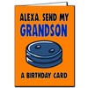 Grandson Birthday Card Funny Alexa C656