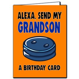 Grandson Birthday Card Funny Alexa C656