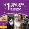 Stella & Chewy's Freeze-Dried Raw Cat Dinner Morsels - Salmon