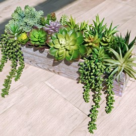 Winlyn Winlyn 19 Pcs Assorted Artificial Succulents Plants Unpotted Small Green Hanging Succulent Aloe Fake Cacti Succulents Bulk for Succulent Garden Centerpiece Wreath Arrangement Indoor Outdoor Home Decor