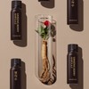 Vital Beauty [바이탈뷰티][3BOX] 명작수 (20일) [VITAL BEAUTY][3BOX] Masterpiece Water (20