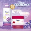 Dove Body Soap, Fermentation & Beauty Series, Midnight Lavender, Body