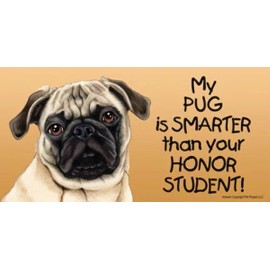My PUG (Fawn) is SMARTER than your Honor Student! Car Fridge Dog Magnet 4"x8"