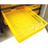 RITE FARM PRODUCTS HATCHER BASKET EGG TRAY FOR OUR CABINET