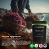 Organic Irish Sea Moss Extract 12,000mg - High Strength 25:1