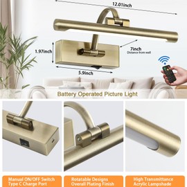 Tassuowell Wireless Picture Lights for Wall,12 Inch Battery Operated Picture Light,3CCT Dimmable Lights for Pictures on Wall with Timer and Remote for Display Photo Frame (Antique Bronze, 12inch)