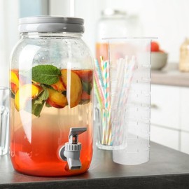 ABOOFAN Fruit Egg Insert Replacement Acrylic Cylinder Egg Insert Drink Dispenser Accessories For Beverage Jug Water Bottle Ice Cube