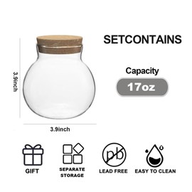 wangsdjy 17oz Glass Jars with Airtight Cork Lids,Wedding Candy Jar,Glass Storage Jars Great Ideal for Kitchen Storage, Tea, Biscuits, Cereals, Flour, Beans, Spices, Coffee Beans (9)
