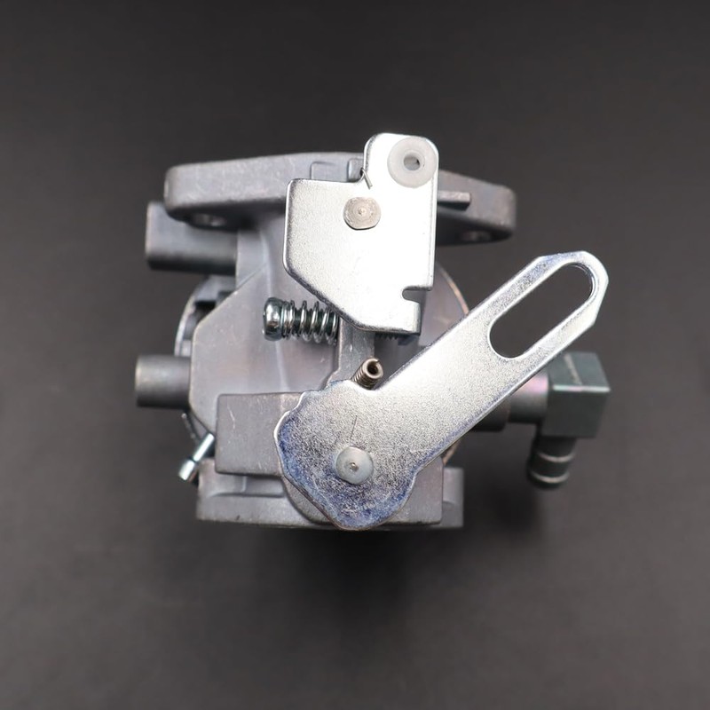 LIZAPUS 640169 Carburetor Compatible with Ariens 924117 932034 924300 924121