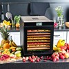 MAQUITA 6 PCS Dehydrator Trays with Scraper - Nonstick Silicone