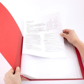 D.RECT Display Book PP A4 40 Pockets - Display Folder - Presentation Folders - Offer Folders, Red