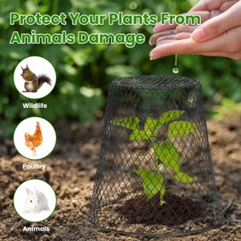 Chicken Wire Plant Covers, 10 Pcs 9×9 Inch Heavy Duty Metal Garden Cloches with Stakes and Labels, Plant Protectors for Keeping Bunnies, Chickens, Squirrels, and Birds Out, Indoor & Outdoor Use