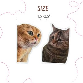 YJ PREMIUMS 12PC Funny Magnets Meme Animal Magnetic Magnet for Refrigerator Fridge Adults Work School Locker Office Car Bumper Decal Game r Kitchen Cute Cool Weird Fun Novelty Funky Gag Quirky Gifts