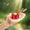 Window Hummingbird Feeder, Small Hummingbird Feeder for Outdoors with Strong