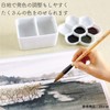 Ink luck temple pottery plum dish 13.5 pack