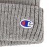 Champion 492-013A Knit Cap, gray