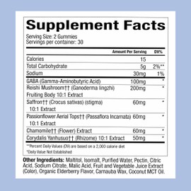 Plant People WonderSleep Mushroom Gummies Supplement for Sleep, No Melatonin with Reishi Super Mushrooms, Wild Elderberry Flavor, No Sugar (60 Count)