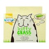 Armitage Good Girl Kitty Grass (150g) (May Vary)