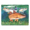Rivers Edge Products Tempered Glass Cutting Board, 12 by 16