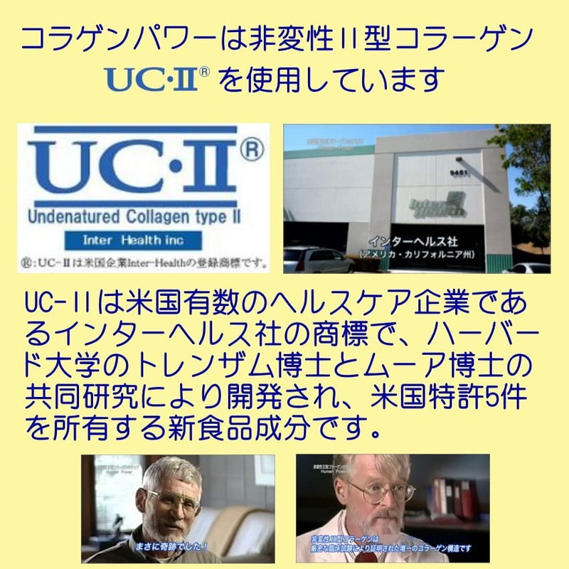 Undenatured Type 2 Collagen UC-II Collagen Power 30 Grains 30