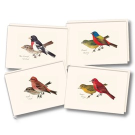 Earth Sky + Water - Peterson's Bird Assortment II Notecard Set - 8 Blank Cards with Envelopes (2 each of 4 styles)