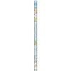 San-X PN94901 Sumikko Gurashi 2B Kakata Pencil