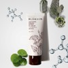 Detailed page Blanccène Houttuynia cordata extract 75 cream 100g moisture