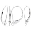 Beebeecraft 1 Box 10Pcs 925 Sterling Silver Leverback Earring Hooks