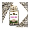 Moringa en Semilla Entera – 100% Natural – 55g -Calidad
