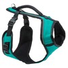 PetSafe® EasySport Harness, Small, Teal