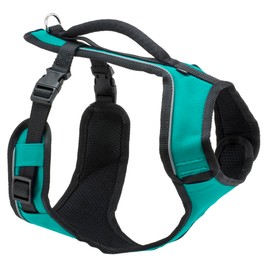 PetSafe® EasySport Harness, Small, Teal