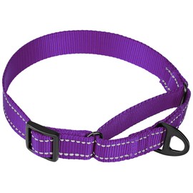 Collardirect Reflective Martingale Dog Collar Nylon Training Collars for Small Medium Large Dogs Puppy Pink Orange Green (M, Neck Size 13"-18", Purple)