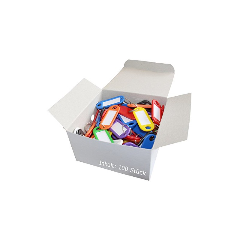 Wedo Key 262801800 Plastic Keyring label, Removable Labels (100 Pack),