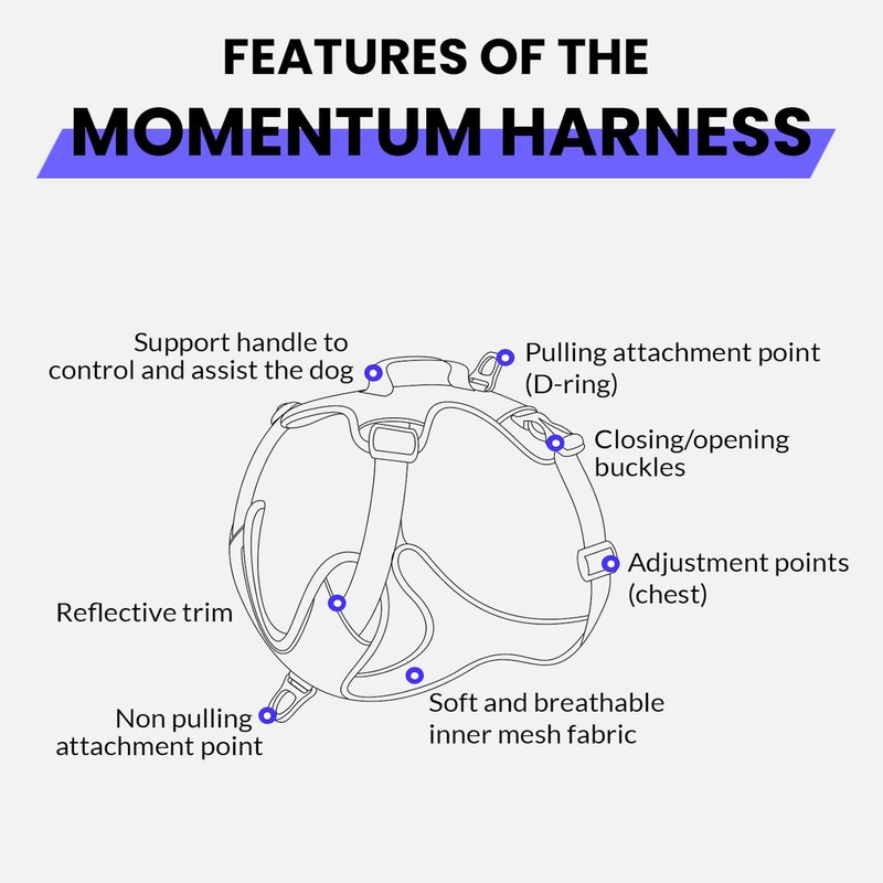 KYFLIE - No-Pull Reflective Dog Harness for Training & Daily