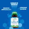 Vidanat 3 Magnesios 60 Tabletas | Bisglicinato de magnesio, citrato