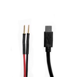 SimpleUSB 12V to MicroUSB Two-Prong Universal Dashcam Adapter