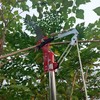 WHLZYEVA Extendable Pole Saw & Pruner, 13.6FT 2-in-1 Tree Trimmer