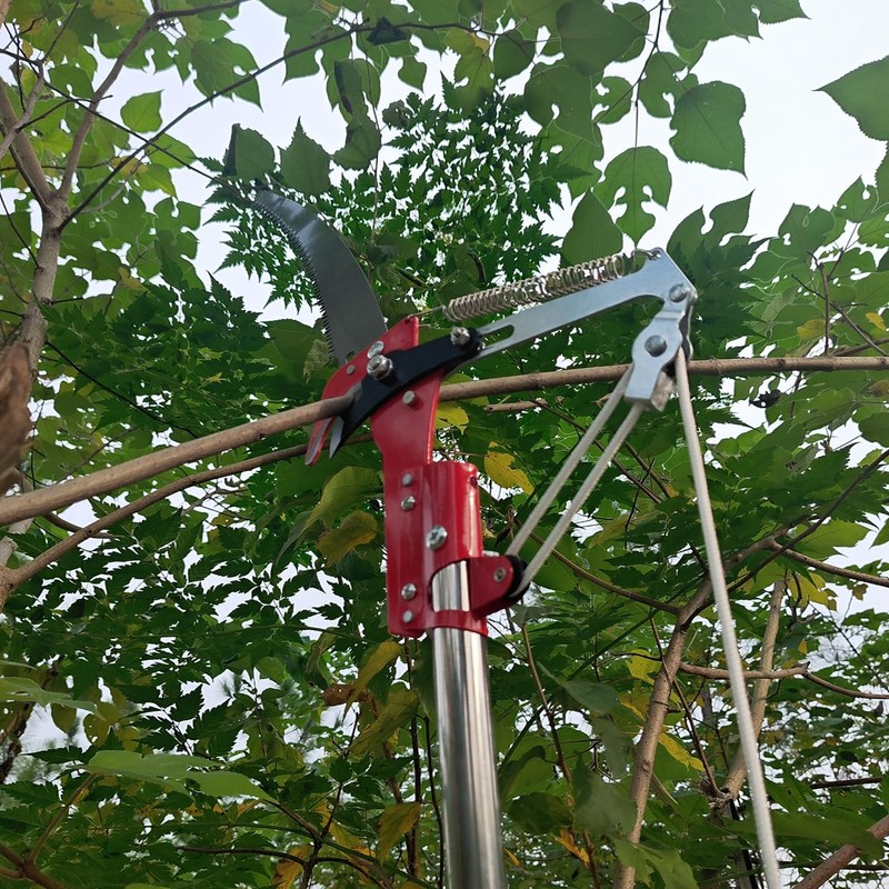 WHLZYEVA Extendable Pole Saw & Pruner, 13.6FT 2-in-1 Tree Trimmer