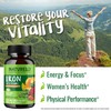 NATURELO Vegan Iron Supplement with Vitamin C and Organic Whole