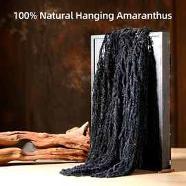 Jtoder 5Pcs Dried Amaranthus Hanging Flowers, Natural Preserved Flower for Wedding Arch, Exhibition, Wall Hanging Lover Tears, Floral Arrangement, Home Decor (Black, 24")