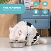 Avont Cat Recovery Suit, Kitten Onesies for After Surgery, Surgical