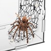 Niuohoy 4 Pack Tarantula Enclosure Accessories Jumping Spider Habitat Accessories