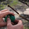 HAINANSTRY Grafting Tape 2 PCS, Stretchable Garden Grafting Tape Plants