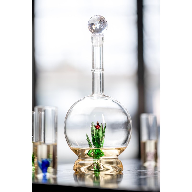 Tequila Aloe Decanter Set with Agave Plant - 750mL Bottle,