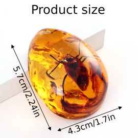 6PCS Amber Fossil Insect, Amber Fossils with Insects Samples Stones Crystal Samples for Home Decorations Collections Oval Pendants Pendant Science Educational (Amber Pendant) (B stely)