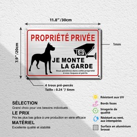 TAKULA Attention au chien et caméra, sign chien Je Monte la Garde, sign for private property, video surveillance, metal signs 30 x 20 cm