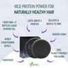 Solid Rice Protein Shampoo, Conditioner and Body Wash Bundle |