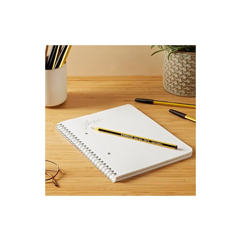 Staedtler Noris Stick Ballpoint Pens 1mm Set of 6 (Blue,