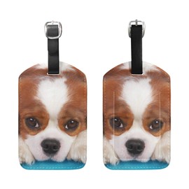 My Daily Cavalier King Charles Spaniel Dog Luggage Tag PU Leather Bag Travel Suitcase Baggage Label 2 Pieces Set
